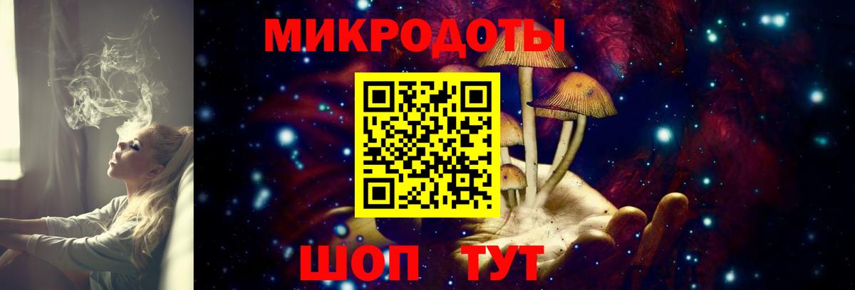Галлюциногенные грибы мицелий  Галлюциногенные грибы Psilocybine cubensis  Симферополь  Вход с VPN 